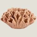 Theelichthouder buds sandstone