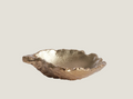 Schaaltje oester